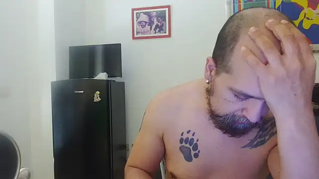 AMIRDIB2025 online show from 20, 7, 2026
