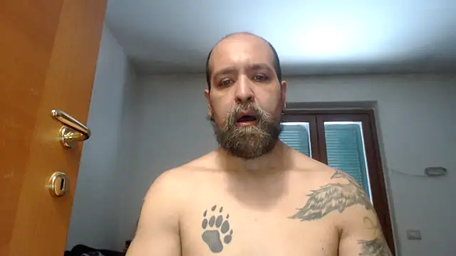 AMIRDIB2025 online show from 21, 7, 2026