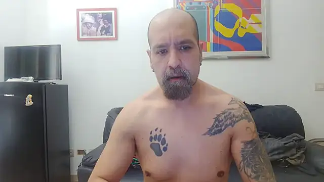 AMIRDIB2025 online show from 28, 7, 2026