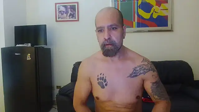 AMIRDIB2025 online show from 28, 7, 2026