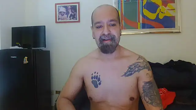 AMIRDIB2025 online show from 30, 7, 2026