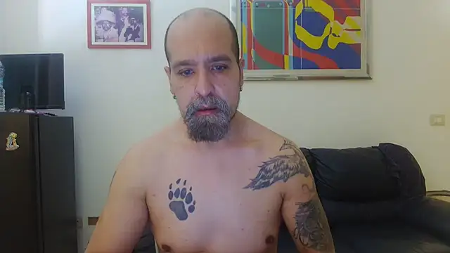 AMIRDIB2025 online show from 3, 8, 2026