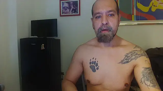 AMIRDIB2025 online show from 7, 8, 2026