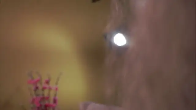 Snapshot of AunclreaVache chatting on 5, 3, 2026 AunclreaVache online show from 5, 3, 2026