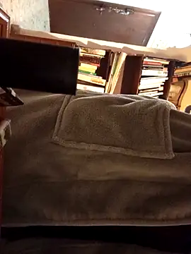 Snapshot of gatitachula93 chatting on 20, 2, 2026 gatitachula93 online show from 20, 2, 2026