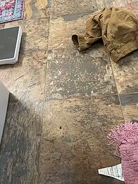 drods66999 online show from 15, 3, 2026