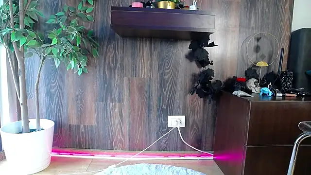 Snapshot of RavenFoxxy chatting on 12, 2, 2026 RavenFoxxy online show from 12, 2, 2026