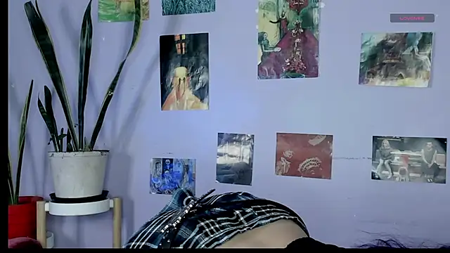 blueberry       online show from 9, 8, 2026