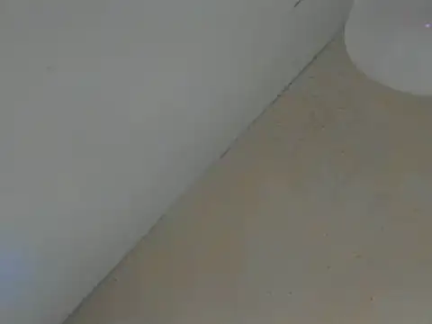 SweeXioji online show from 2, 3, 2026