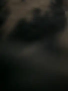 WopBig4o85 online show from 17, 3, 2026