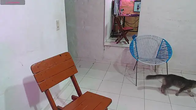 Snapshot of maxI_dick33 chatting on 14, 2, 2026 maxI dick33 online show from 14, 2, 2026