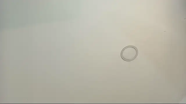 Snapshot of tamara_walter chatting on 13, 2, 2026 tamara walter online show from 13, 2, 2026