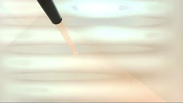 Snapshot of tamara_walter chatting on 5, 3, 2026 tamara walter online show from 5, 3, 2026