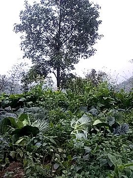 Snapshot of sary-hot2x chatting on 24, 2, 2026 sary-hot2x online show from 24, 2, 2026