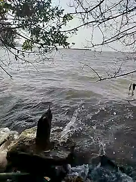 Andreskelly online show from 16, 2, 2026