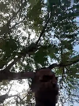 Andreskelly online show from 17, 3, 2026