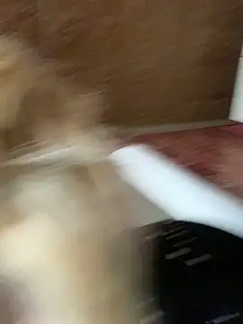 Snapshot of Barbika19 chatting on 9, 3, 2026 Barbika19 online show from 9, 3, 2026