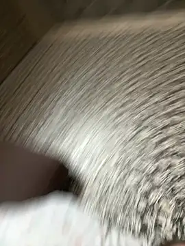 Snapshot of Barbika19 chatting on 28, 3, 2026 Barbika19 online show from 28, 3, 2026