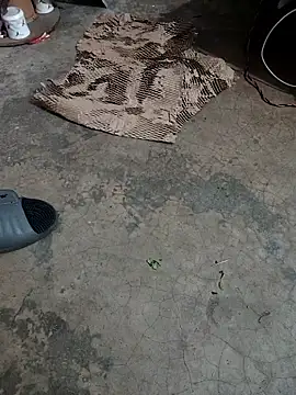 Lovely priya1001 online show from 22, 4, 2026