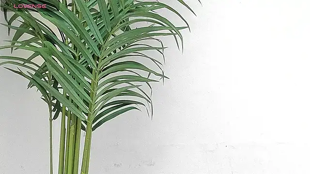 Snapshot of sebastamayo_ chatting on 9, 1, 2026 sebastamayo online show from 9, 1, 2026