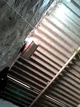 Mahi bigg online show from 20, 3, 2026