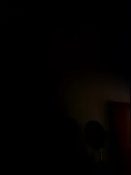 Snapshot of AbidingAuspices chatting on 17, 1, 2026 AbidingAuspices online show from 17, 1, 2026