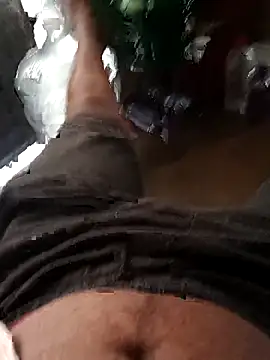 Nick universal online show from 24, 3, 2026