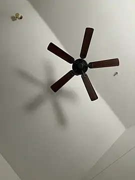 Snapshot of faces818 chatting on 21, 3, 2026 faces818 online show from 21, 3, 2026