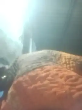 Snapshot of Pinki_rajak chatting on 11, 1, 2026 Pinki rajak online show from 11, 1, 2026