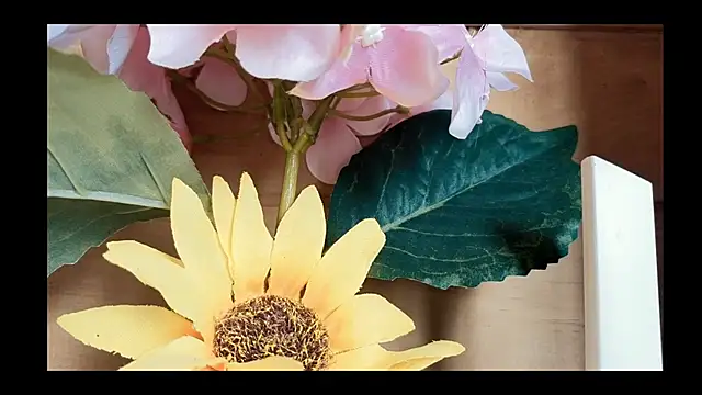 vickvalencia2 online show from 4, 5, 2026