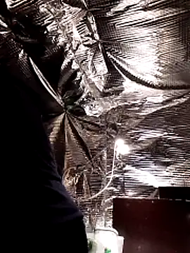 Snapshot of Quebec46 chatting on 20, 2, 2026 Quebec46 online show from 20, 2, 2026