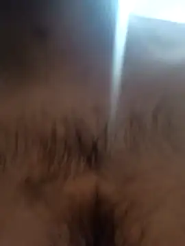 Snapshot of bnglrboy0886 chatting on 7, 2, 2026 bnglrboy0886 online show from 7, 2, 2026