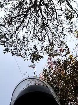 Snapshot of bnglrboy0886 chatting on 7, 3, 2026 bnglrboy0886 online show from 7, 3, 2026