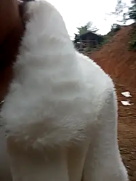 Snapshot of Girl_cutee chatting on 1, 2, 2026 Girl cutee online show from 1, 2, 2026