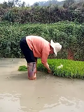 Snapshot of Girl_cutee chatting on 16, 3, 2026 Girl cutee online show from 16, 3, 2026