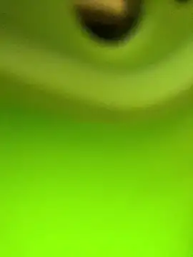 Snapshot of Kacaah chatting on 27, 2, 2026 Kacaah online show from 27, 2, 2026