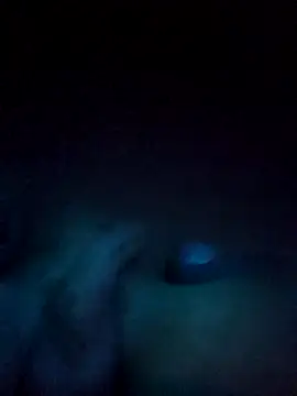 norvisito online show from 19, 12, 2025