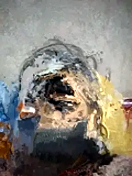 Rohni bhabi online show from 22, 3, 2026