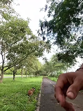 Maicol xxxx online show from 12, 3, 2026