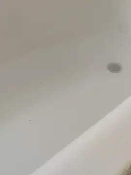 Mm7oon nek online show from 2, 4, 2026