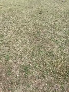 Tamilpaiyan07 online show from 1, 2, 2026