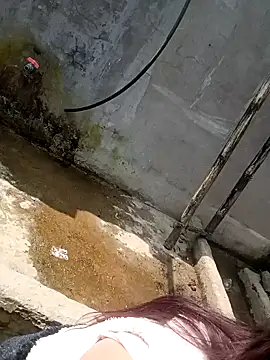 boiboi001 online show from 2, 3, 2026