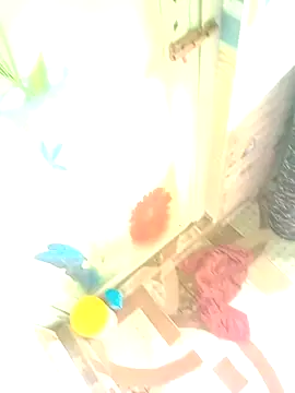 Snapshot of Hooghlypinkivabi chatting on 10, 1, 2026 Hooghlypinkivabi online show from 10, 1, 2026