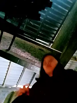 DIANAKUTE online show from 8, 1, 2026