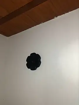 Snapshot of seth_c chatting on 21, 3, 2026 seth c online show from 21, 3, 2026