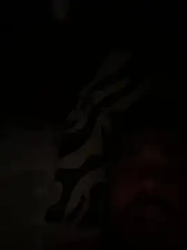 Snapshot of paco199923 chatting on 4, 2, 2026 paco199923 online show from 4, 2, 2026