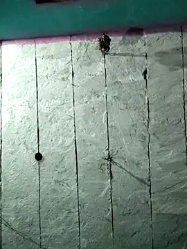 Mehjab Love online show from 2, 4, 2026