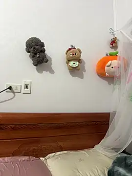 Small big online show from 2, 3, 2026