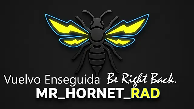 s hornet online show from 4, 5, 2026