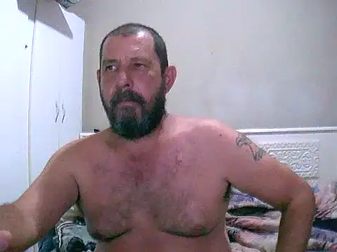 palmview2 online show from 19, 2, 2026